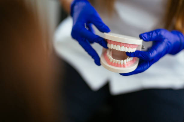 Professional  Holistic Dental Services in Bayou Country Clu, LA